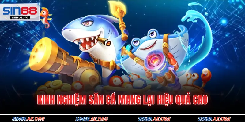 Kinh nghiệm săn cá mang lại hiệu quả cao