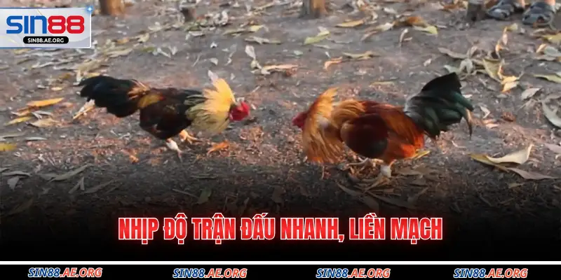 Nhịp độ trận đấu nhanh, liền mạch